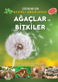 Ağaçlar ve Bitkiler