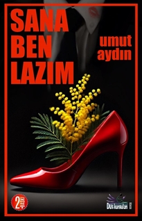 Sana Ben Lazım