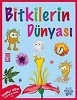 Vaveyla